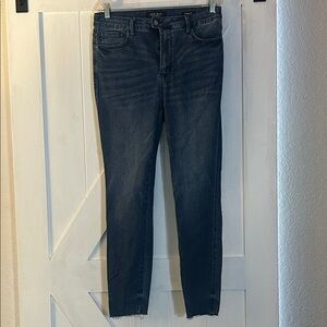 Judy Blue Dark Wash Skinny Jeans